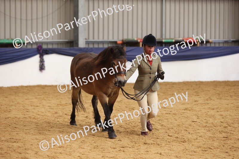 20260913-1726 - Class 115 - Gelding 4years and over