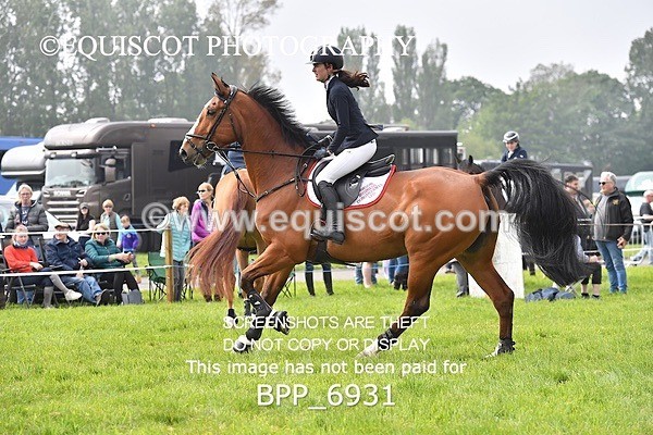 BPP_6931 - CLASS 3 RHS Fox Champ Qual (1.20m)