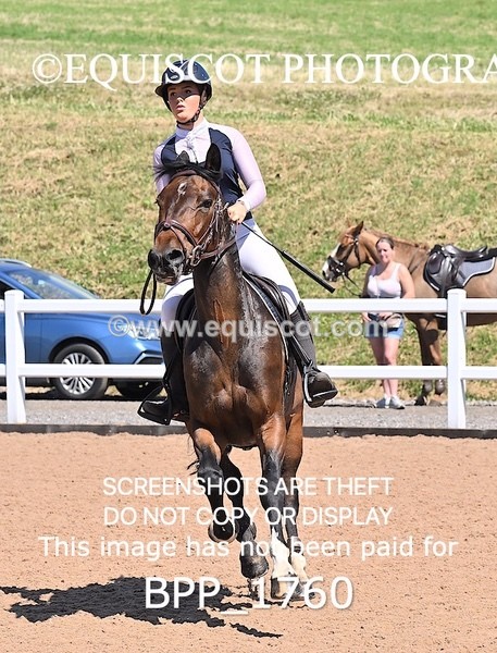 BPP_1760 - THU CLASS 3 Scottish Branch North West Junior Championship **Viewing/Selection class for 148 teams**