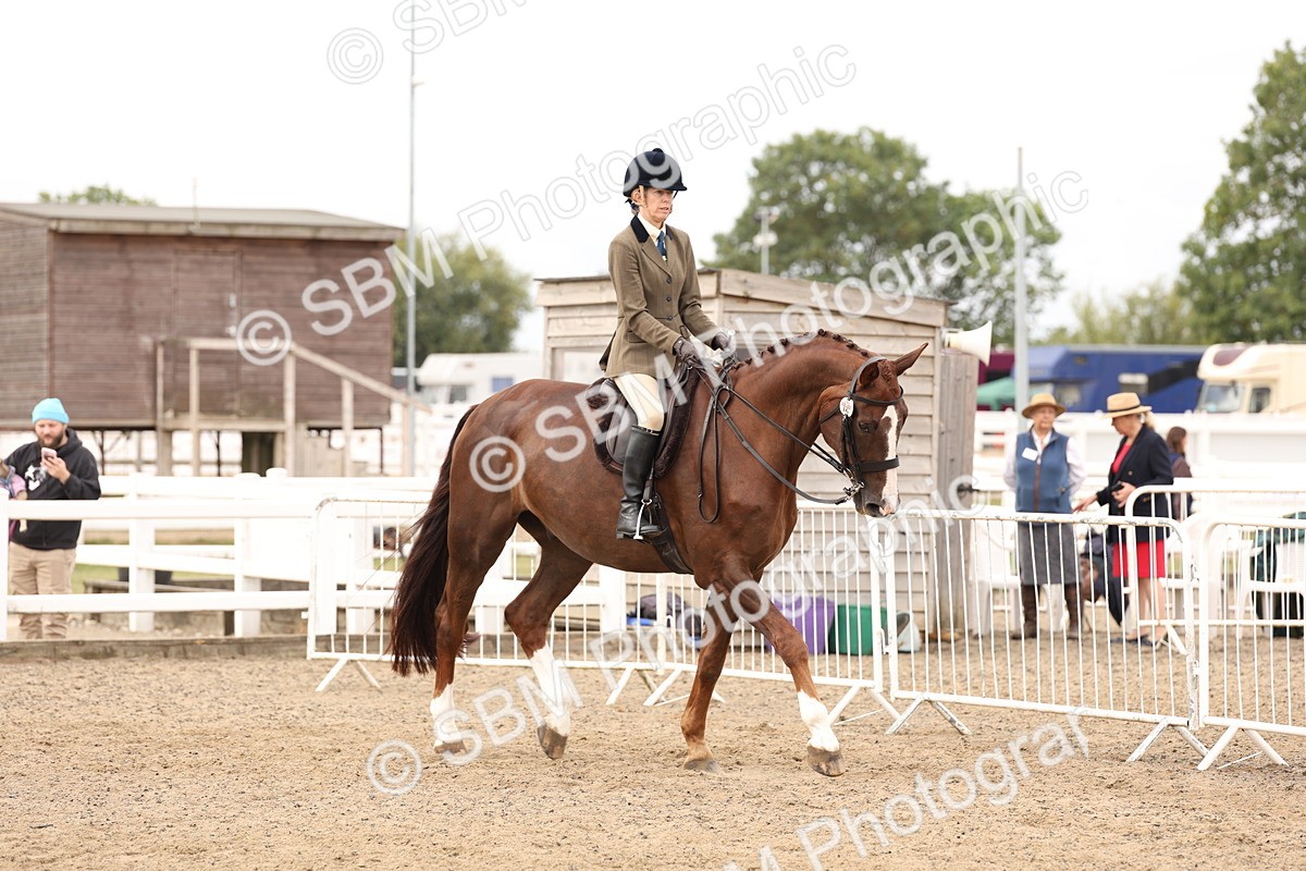 SBM_02806 - Class 53 - Ridden Competition Horse/Pony