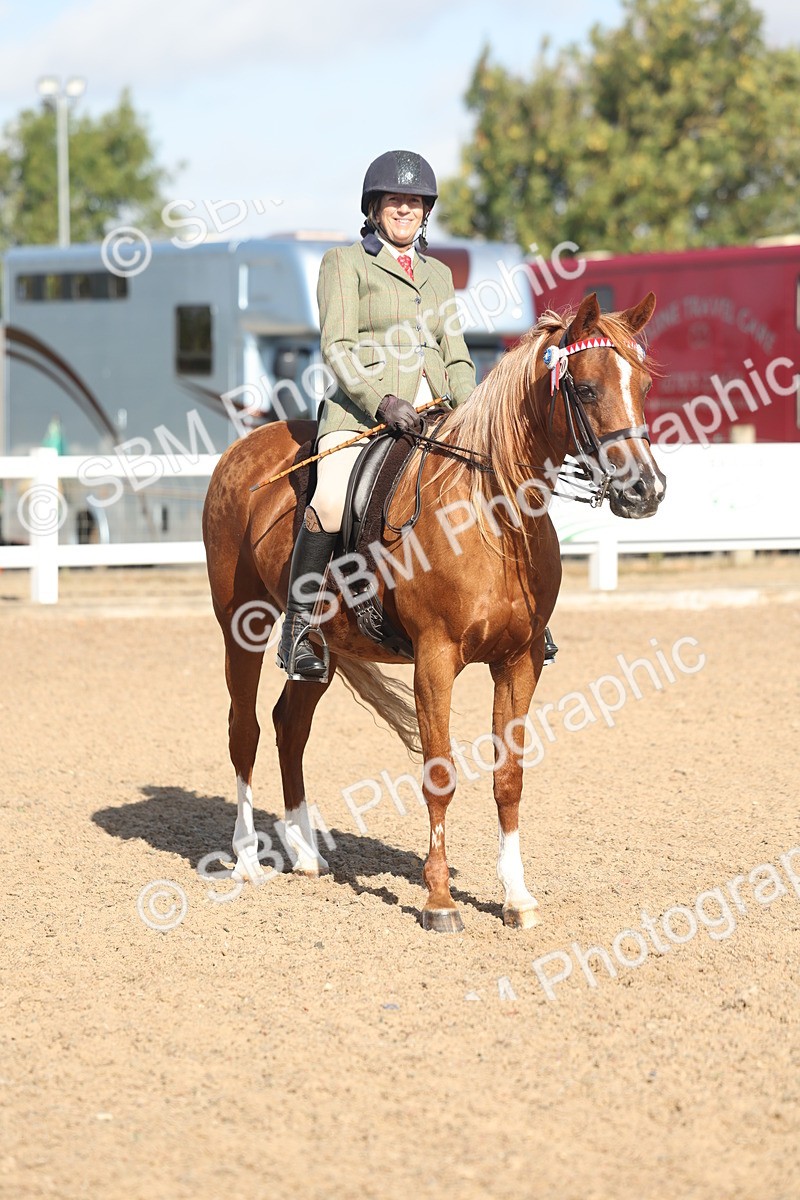 SBM_22318 - Class 803 - Ridden Combination 65+