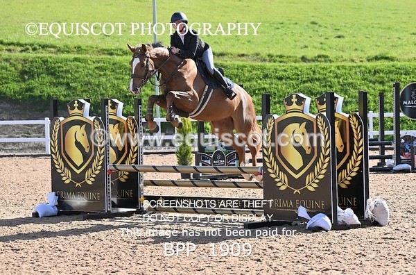 BPP_1909 - CLASS 2 - FRI - KBIS Club Senior 80cms