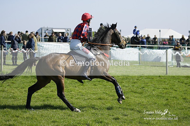 PtP 190322 355 - Wilton Hunt PtP Milborne St Andrew 19/03/22
