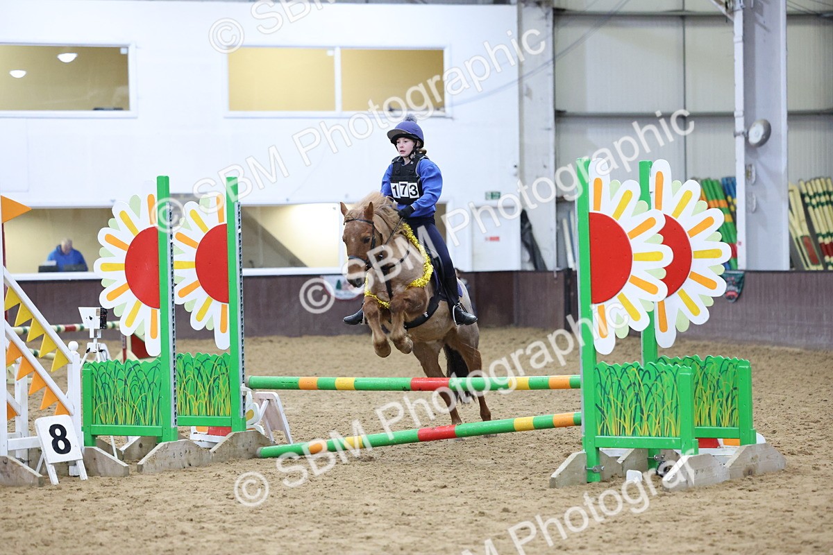 SBM_001081 - Class 3 - Christmas Tree Stakes - 60cm