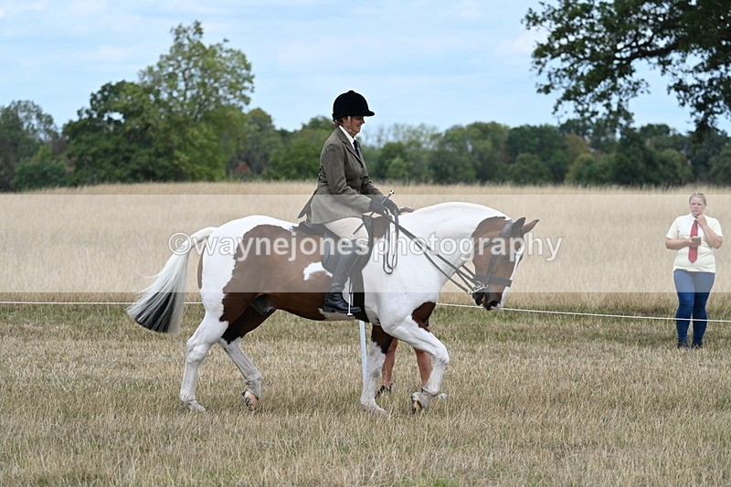 WJ7_4849 - Class 12 Ridden Cob