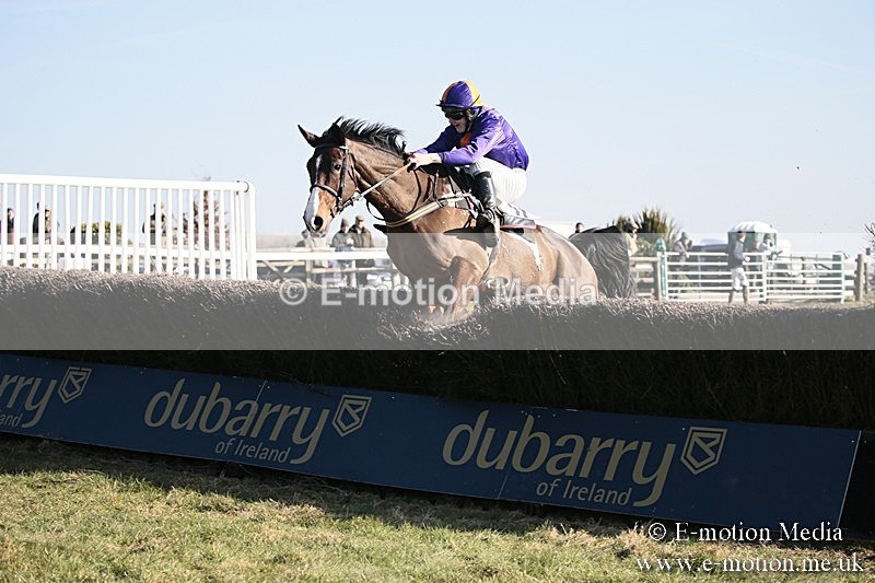 PtP 240218 366 - Vine & Craven Hunt Point-to-Point Barbury racecourse 24/02/18