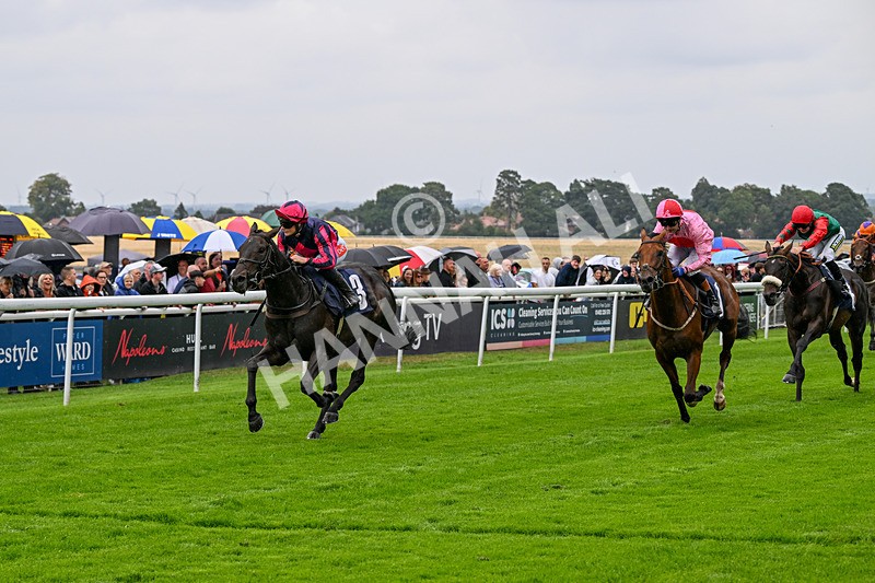 290826-Race 2-Valley Of Flowers-5962 - Race 2 2.20pm Napoleons Casino And Restaurant Hull Handicap