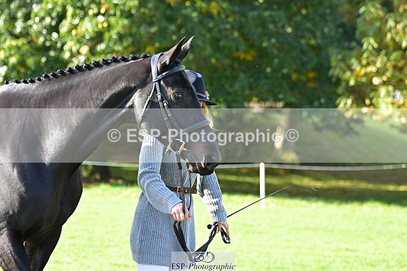 241023-130153-00030 - 002-Ellie.Fredericks-BRITANNIA'S.OLIVE