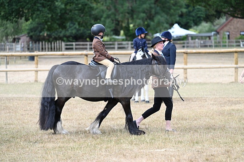 WJ7_6692 - Class 1 Lead Rein Pony
