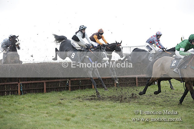 PtP 150320 0488 - New Forest Point-to-Point Larkhill 15/03/20