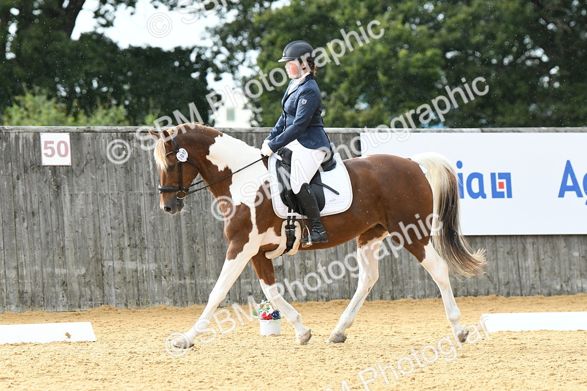 SBM_11075 - D28 Elementary Taster Elementary 42