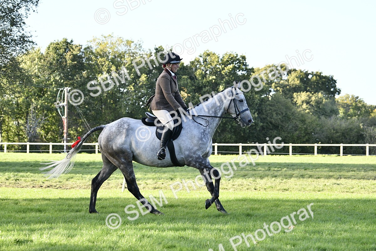 SBM_53506 - S14 - Riding Club Horse