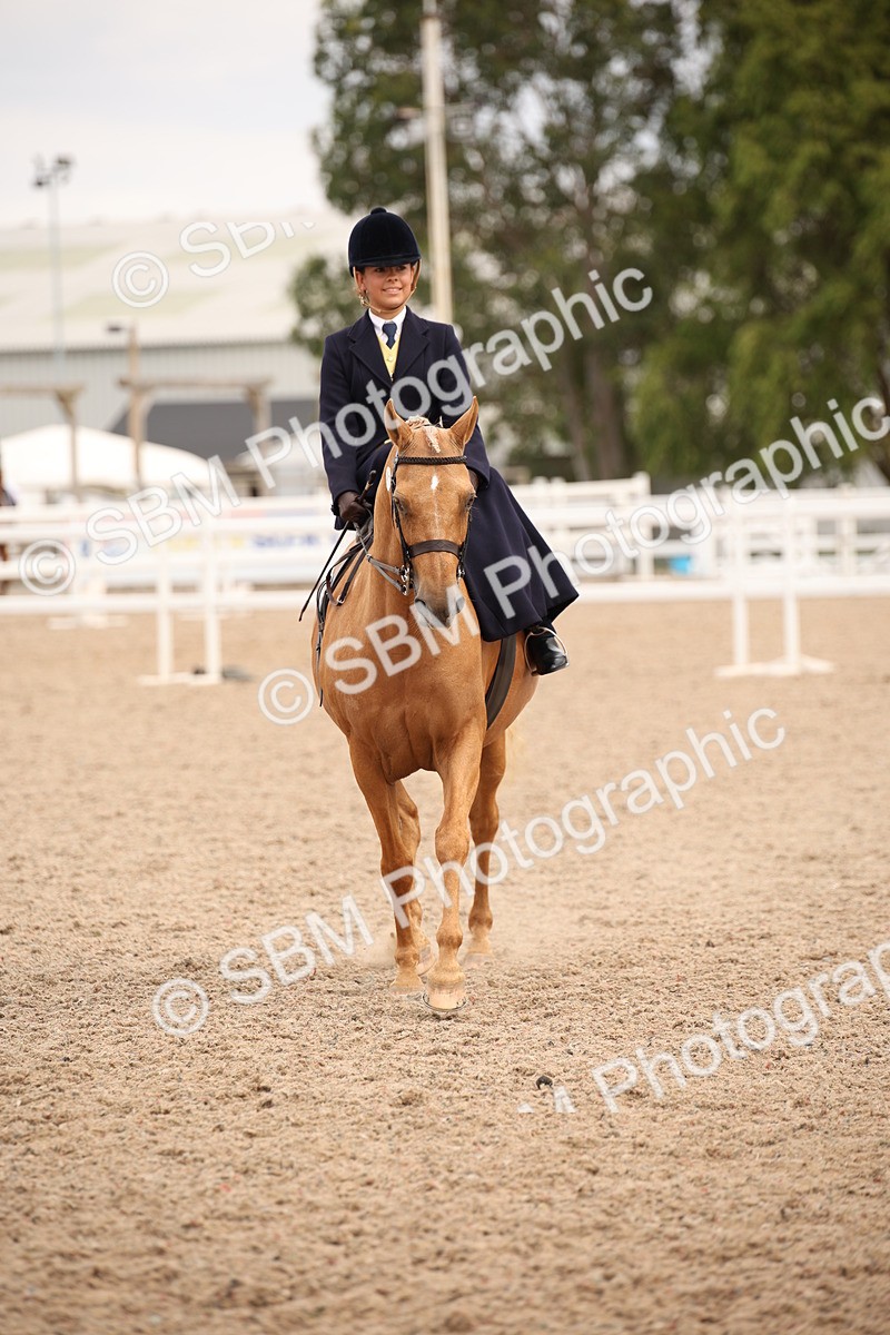 SBM_05431 - Class 22 SSA Equitation