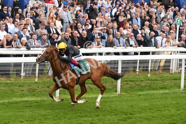 yr13052022r4-45 - Race 4 3.35pm The Paddy Power Yorkshire Cup (British Champions Series Race)