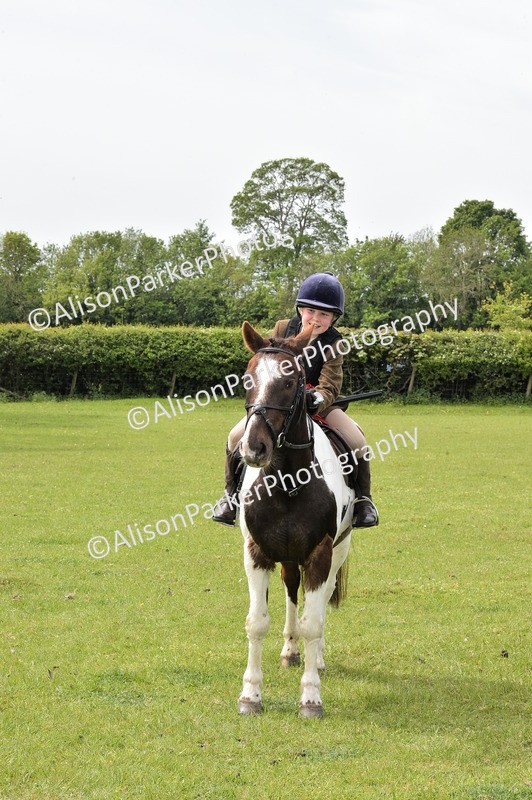 20260426-2451 - Class 21 - Working Hunter Ponies