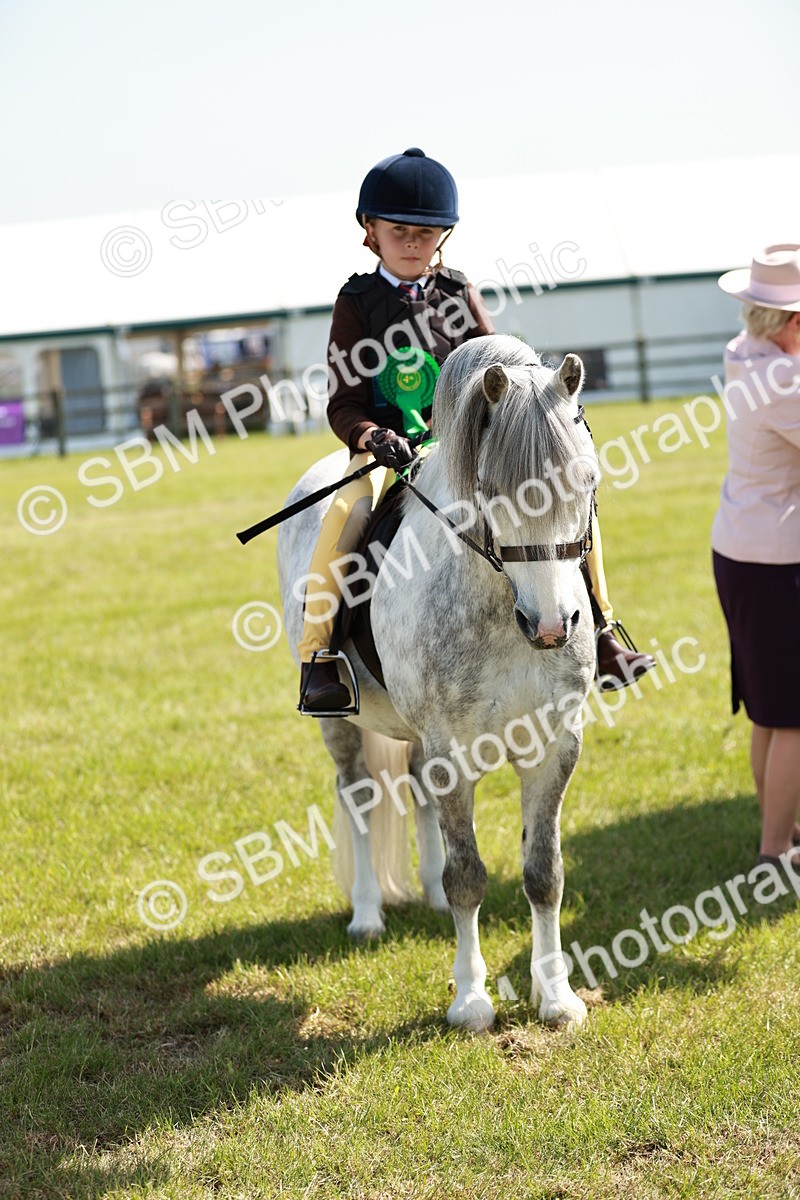 SBM_12802 - Class 106-107 - BSPS LIHS Working Sports Pony