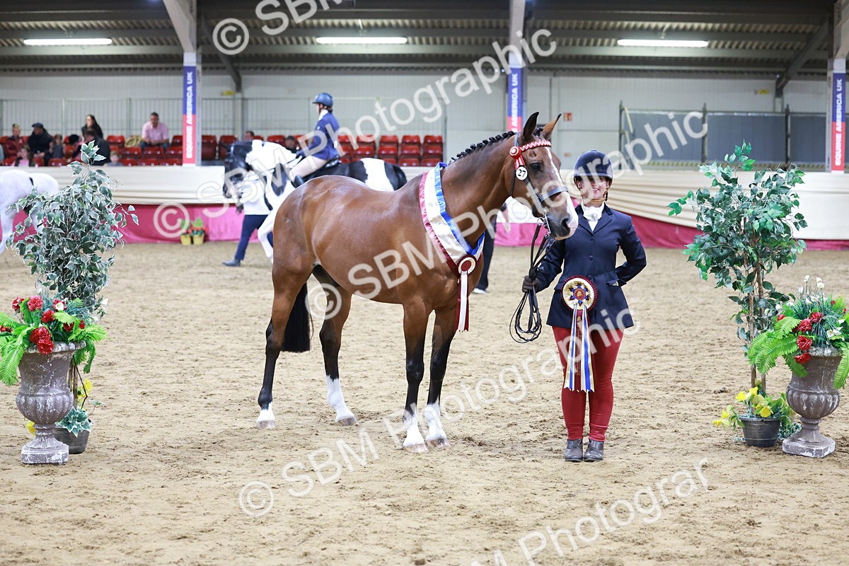 SBM_20151 - Class C - Novalty Champ