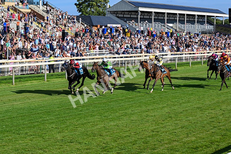 240726-Race 2-Vaguely Royal-0227 - Race 2 18.05pm Elevator Company Handicap