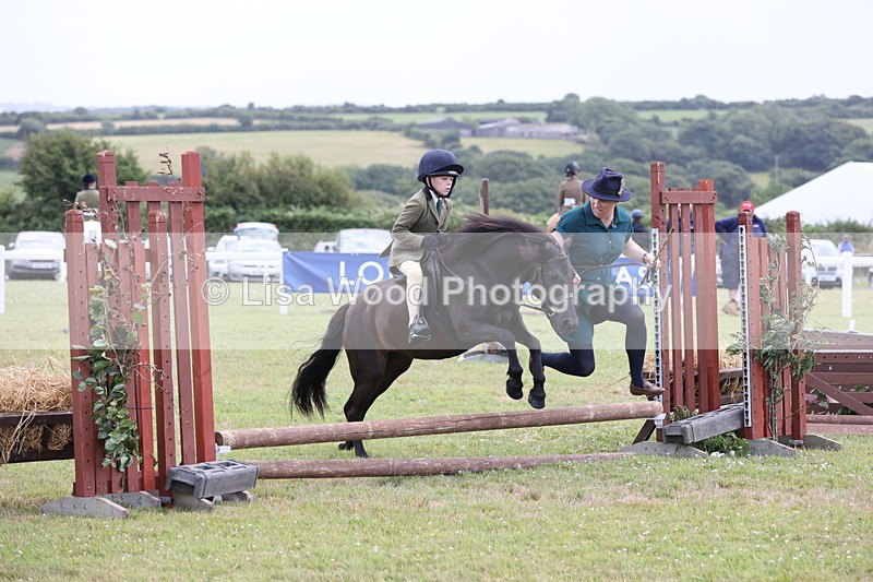 JPP_1789 - Class 18: Tiny Tots Working Hunter Pony