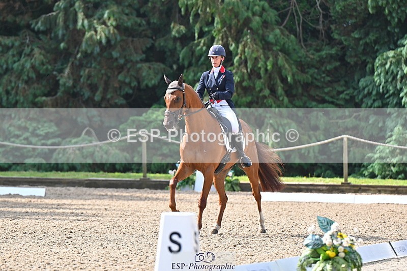 250523A-091458-05478 - D-453-Daisy.Berkeley-DIESE.DU.FIGUIER