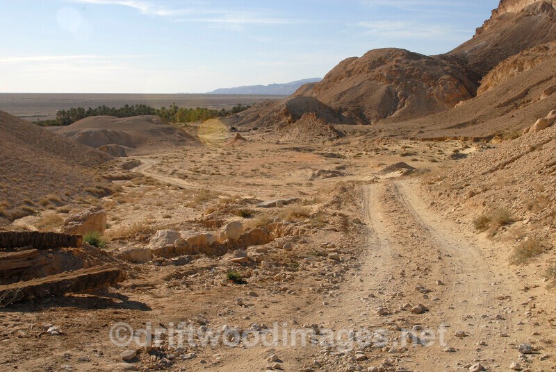 Chebika oasis track - Tunisia