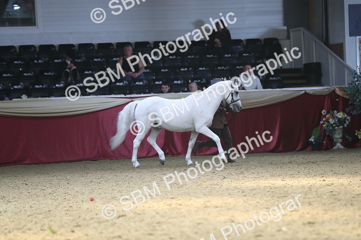 SBM_15241 - Class 501 M&M IH Supreme Final