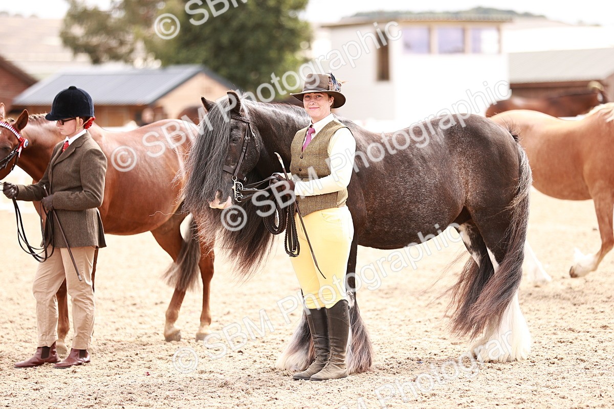 SBM_16321 - Class 413 - Best Condition - Adult