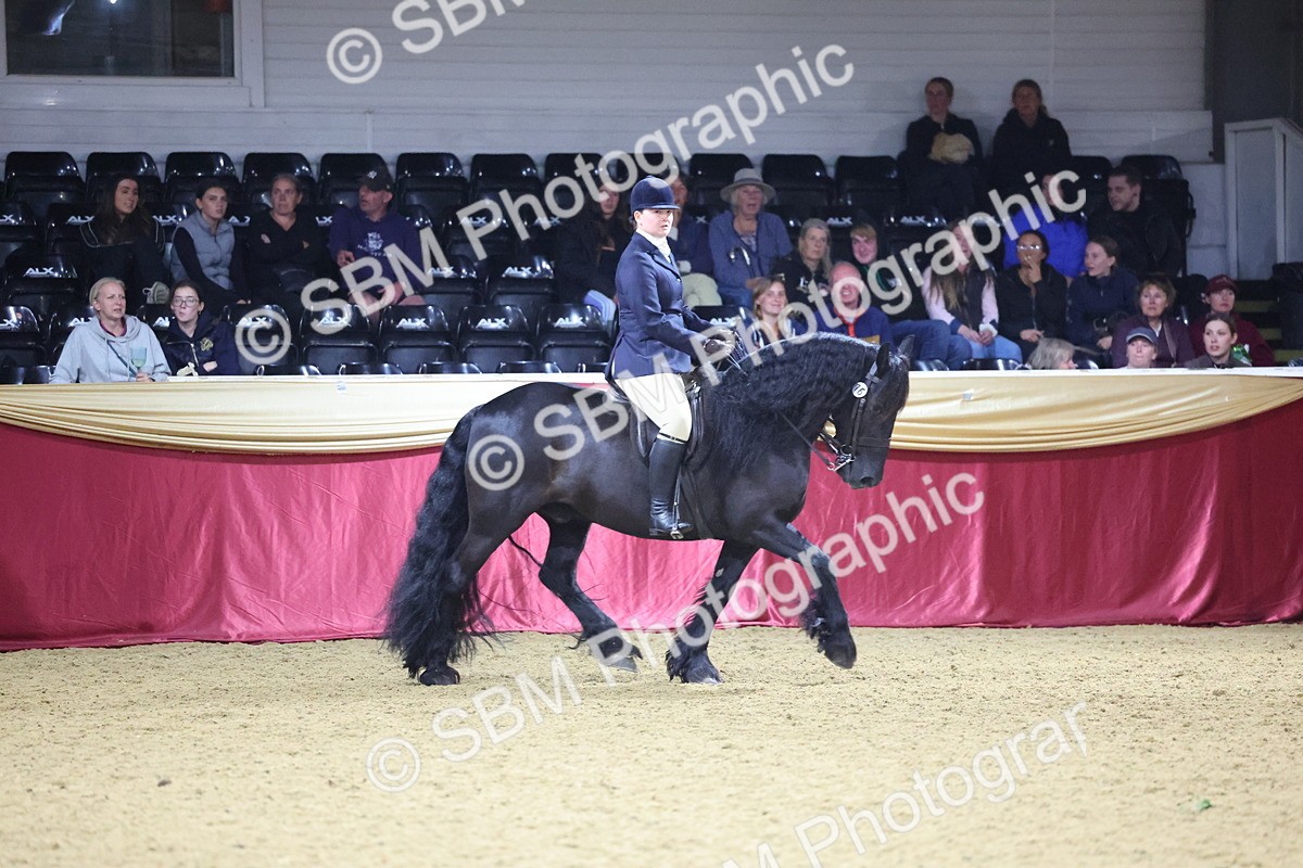 0B8A4800 - Class T Champion of Champions