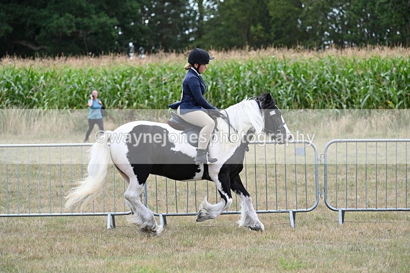 WJ7_5347 - Class 12 Ridden Cob