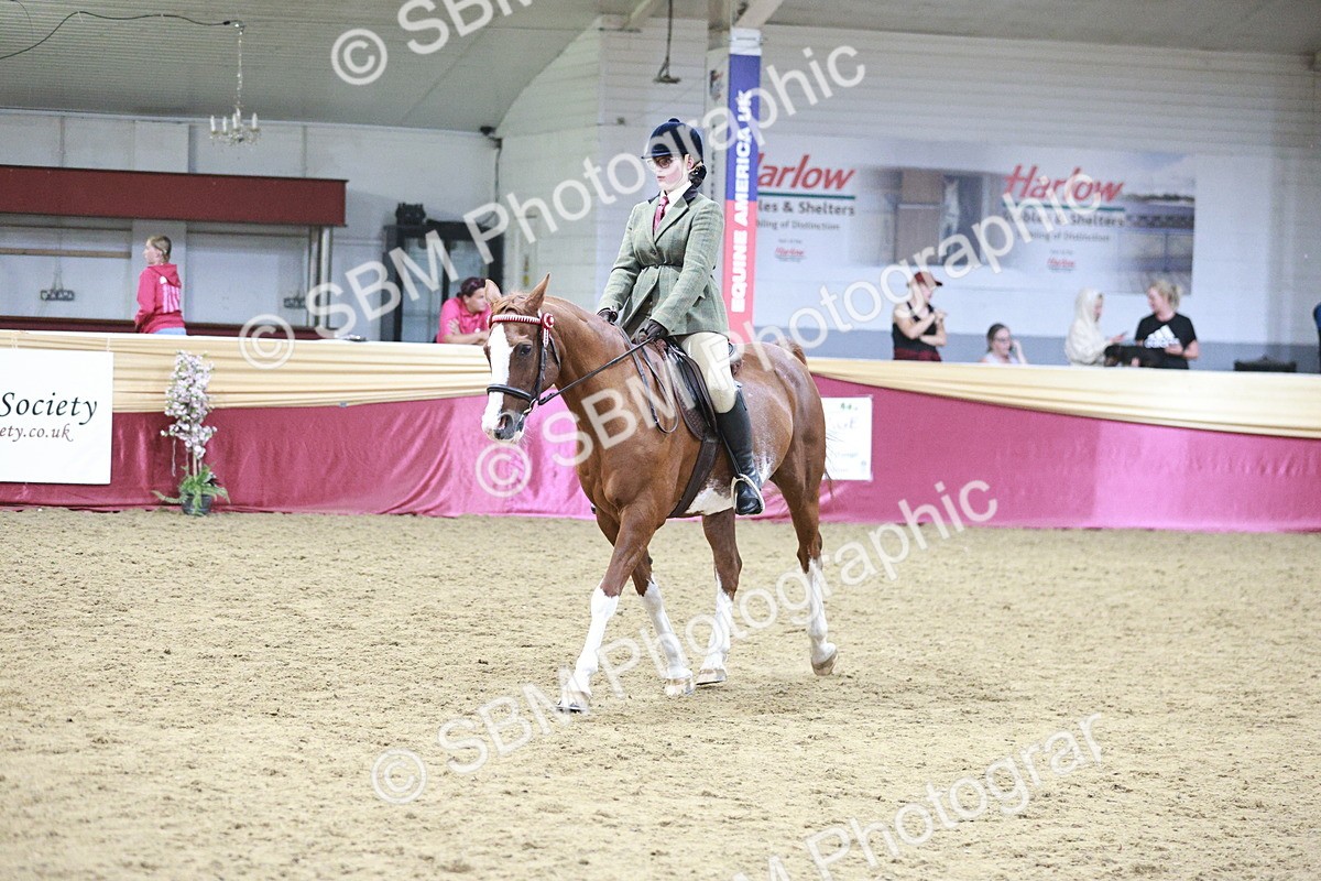 SBM_08137 - Class 11R - Regional Ridden Veteran