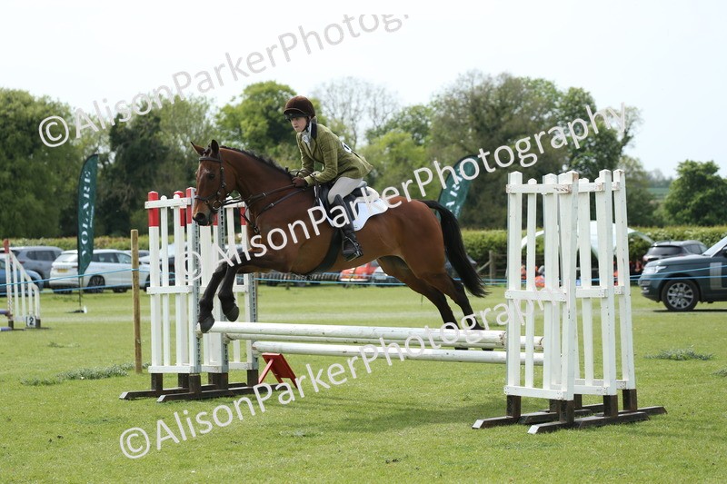 20260426-2037 - Class 15 - Absolute Novice 70cm