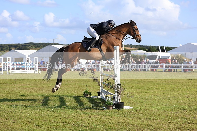 3E7A4352 - Class C: Showjumping Senior Foxhunter
