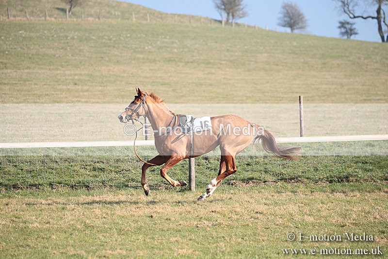 PtP 230219 167 - Vine & Craven Point-To-Point - Barbury 23/02/19
