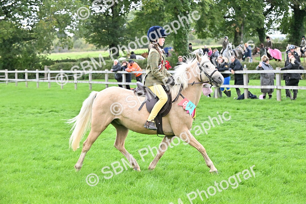 SBM_42912 - S12 - Family Horse & Pony