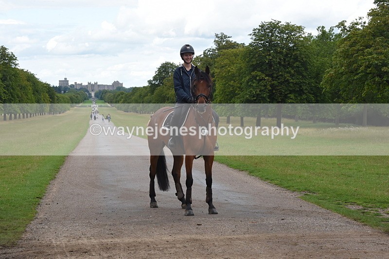 TT3_0416 - Time at Crossing 14:53 to 1526