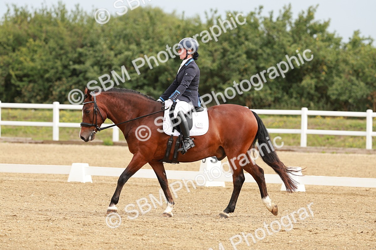 SBM_008993 - Class 12 - Elementary 6 - 9.30-10.34