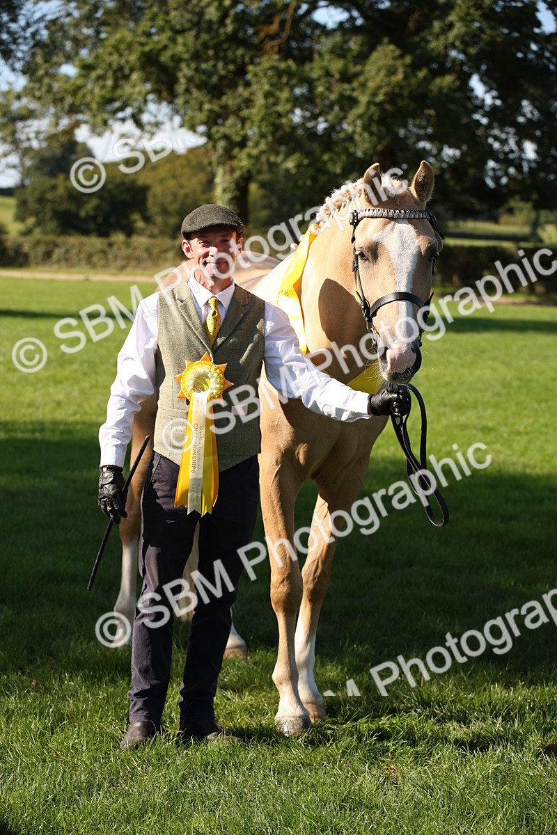 SBM_36648 - S10 - Best In Hand Horse & Pony