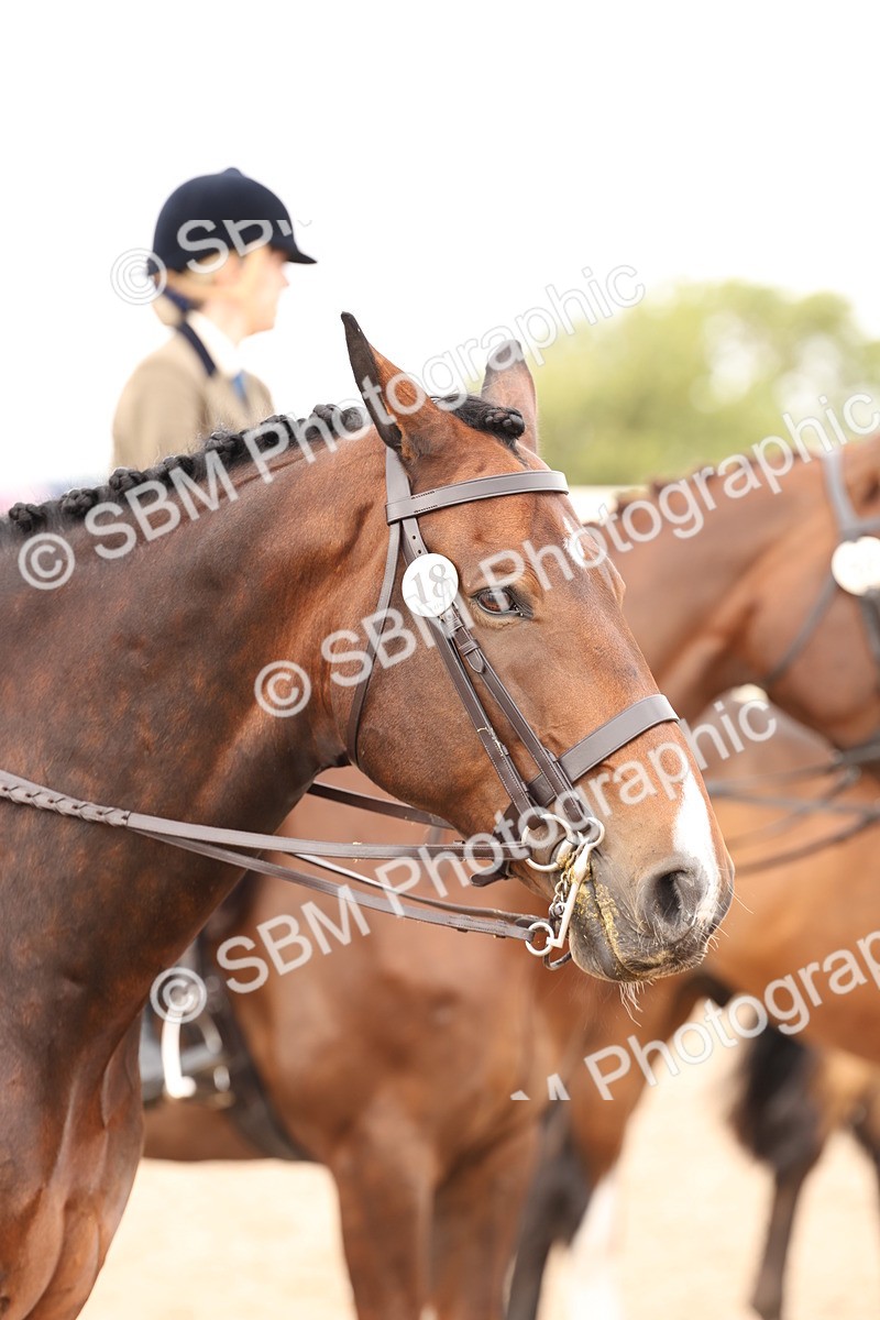 SBM_17267 - Class 213 - Ridden Hunter - Large