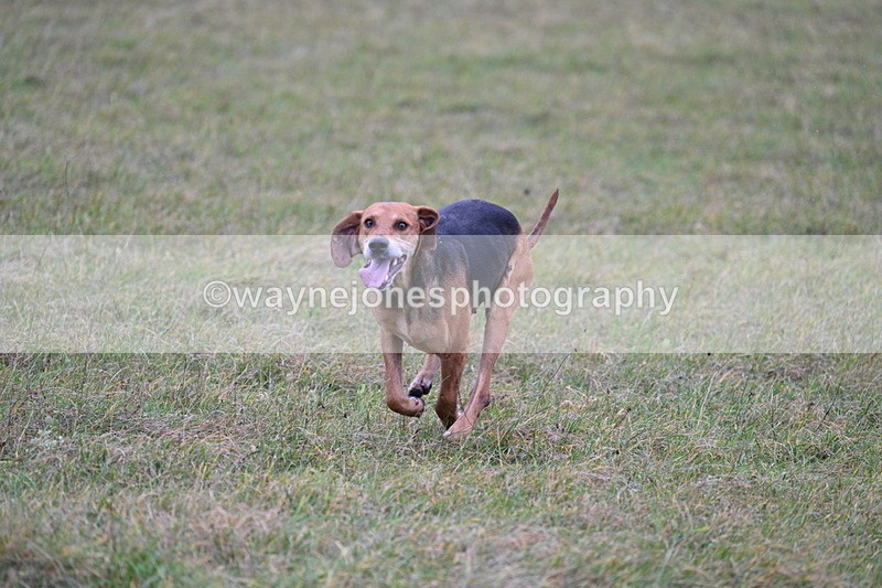 WJ7_0440 - Camera 1