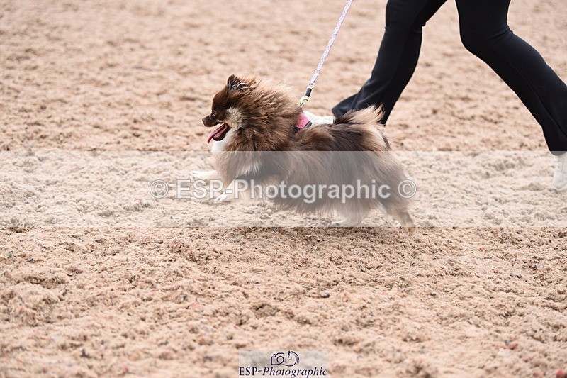 240518A-112058-00755 - Cls 1 Cutest Puppy