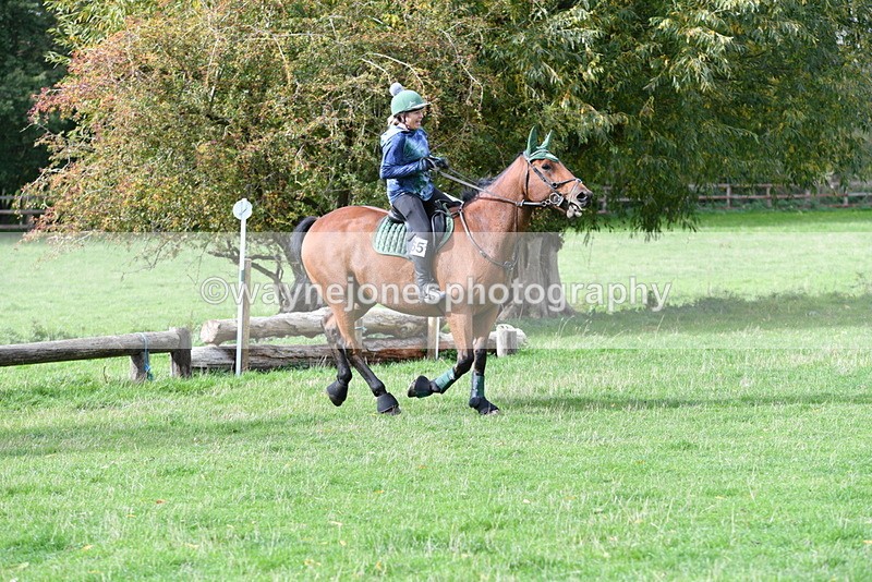 WJ5_9370 - Time 13:03 to 13:25