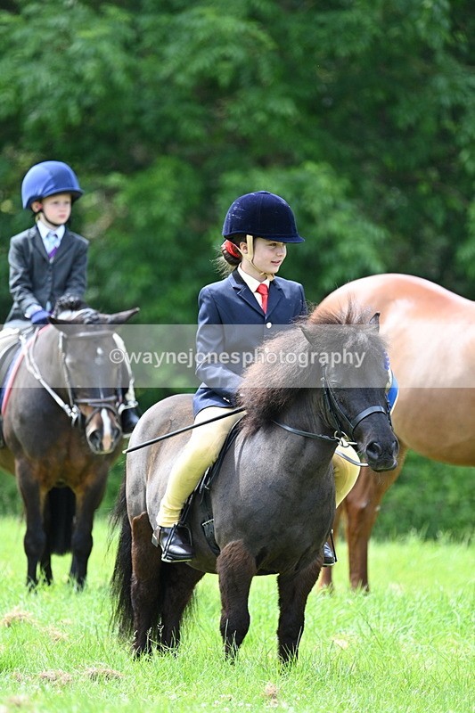 WJ7_1580 - Class 11 Condition & Turnout