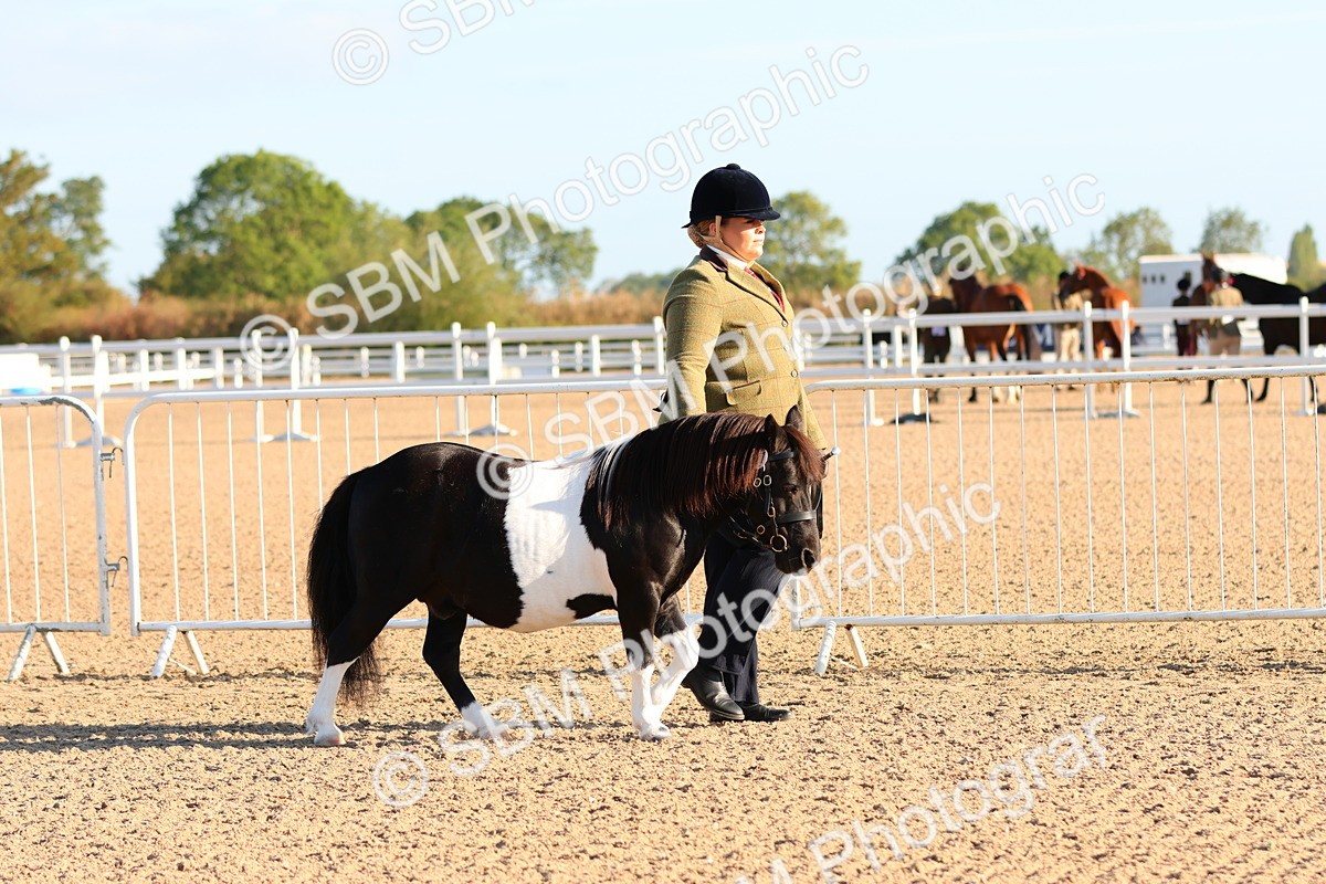 SBM_07970 - Class 201 - Best Turned Out - IH