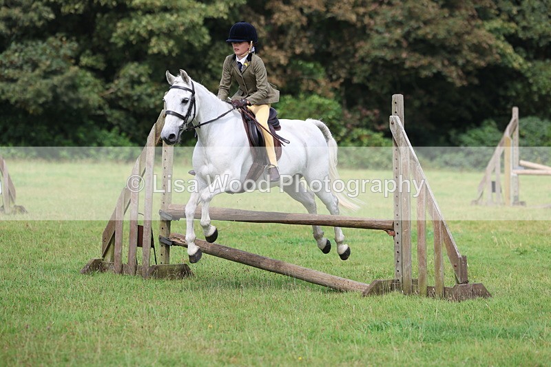 3E7A5797 - Class 26 and 27: 70cm Working Hunter