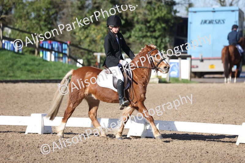 20260214-0369 - Class 4 - Novice 2