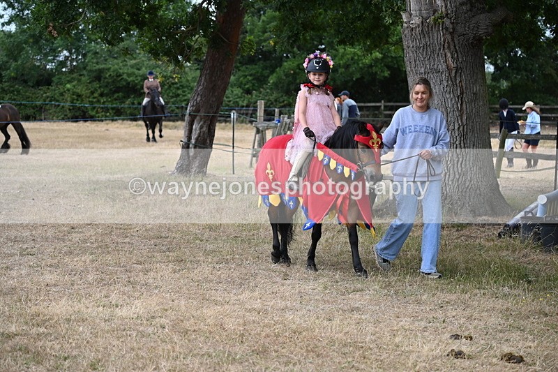 WJ6_8941 - Class 11 Fancy Dress