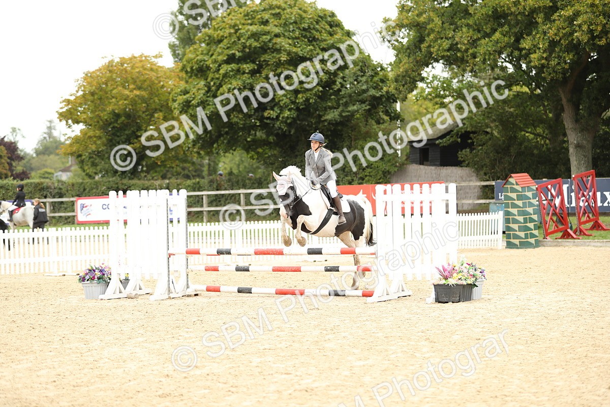 SBM_63079 - Supreme championship 75cm 80cm