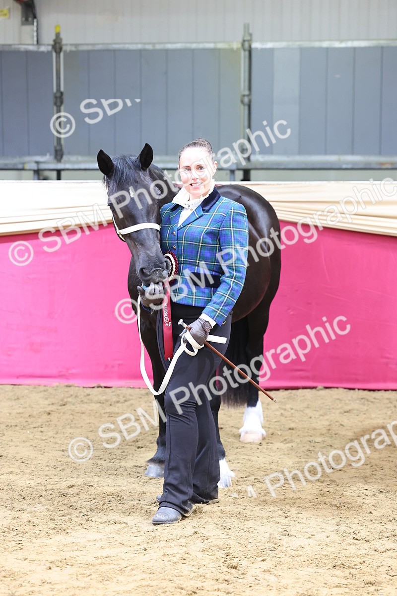 SBM_22966 - Class 903 - Supreme Final - IH Pre Vet