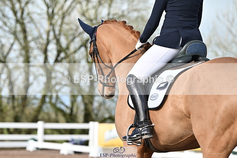 240218A-114529-06843 - 272-Beth.Bainbridge-Newton.Dreamcatcher