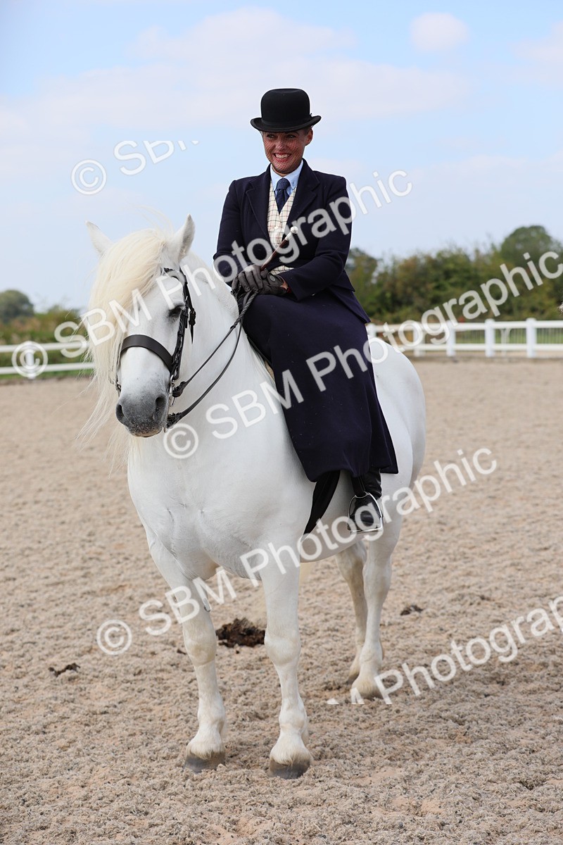 SBM_14615 - Class 211 Best Side Saddle Horse/Pony